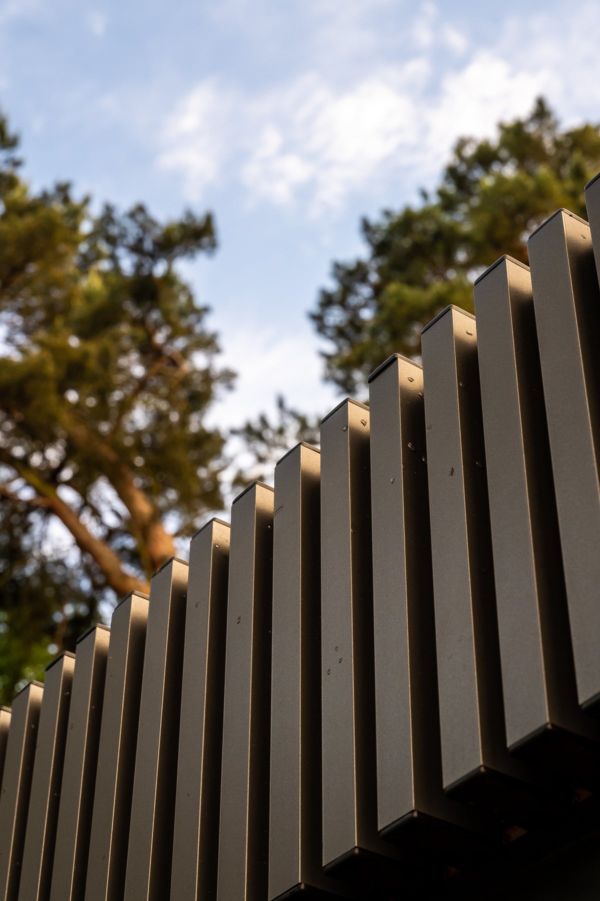 Luxuriöse Gartensauna LINEA – 250 × 350 cm mit Vorraum und Panoramaverglasung